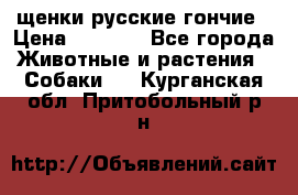 щенки русские гончие › Цена ­ 4 000 - Все города Животные и растения » Собаки   . Курганская обл.,Притобольный р-н